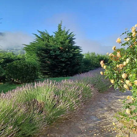 فندق مبيت وإفطار La Grange De Lily Vic-sur-Cère