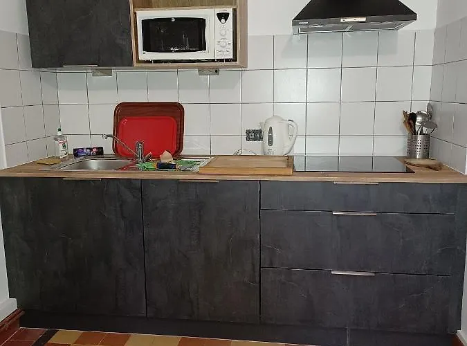 La Grange De Lily Vic-sur-Cère