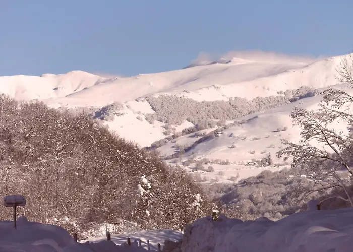 La Grange De Lily 3* Вик-сюр-Сер