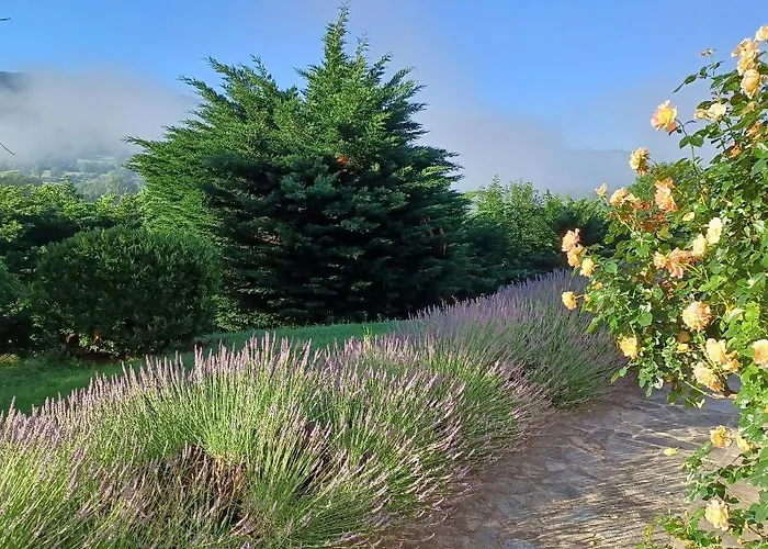 Bed & Breakfast La Grange De Lily Vic-sur-Cère